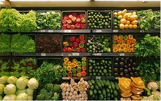 Optimizing Nutrition Protocols for Modern GLP-1 & Bariatric Journeys